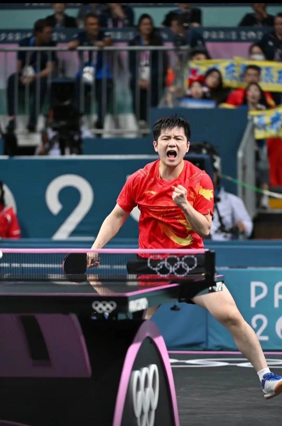 奥地利队力克波兰队,樊振东高光表现 奥地利队力克波兰队,樊振东高光表现